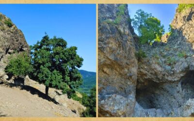 A nagymarosi remetebarlangok titkai – az eltűnt zebegényi monostor nyomában