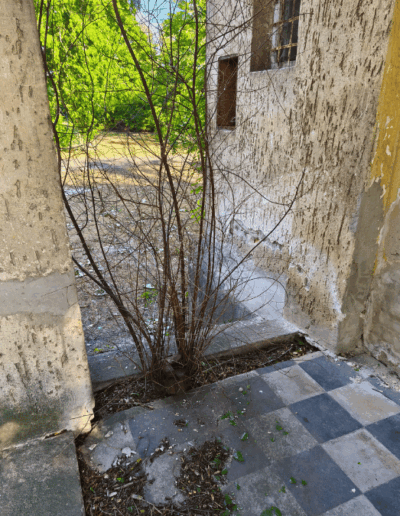 Piufsich-Marx kastély